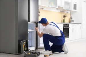 Finding A Professional Sub-Zero Appliance Repair A Step-By-Step Guide